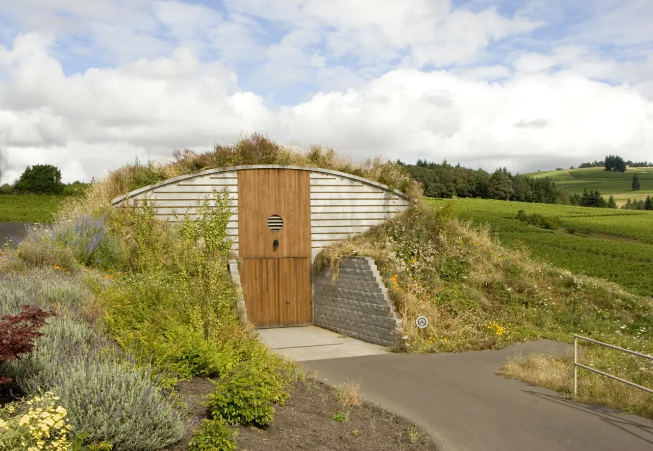 The underground barrel cellar, lined with oak barrels